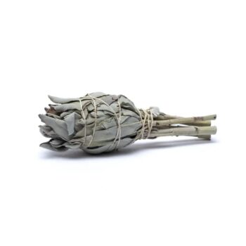 Witte Salie smudge fakkel, groot ±12 cm